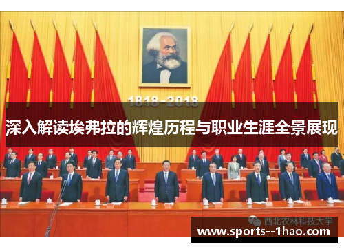 深入解读埃弗拉的辉煌历程与职业生涯全景展现