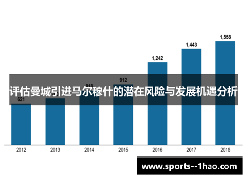 评估曼城引进马尔穆什的潜在风险与发展机遇分析