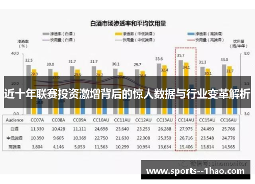 近十年联赛投资激增背后的惊人数据与行业变革解析