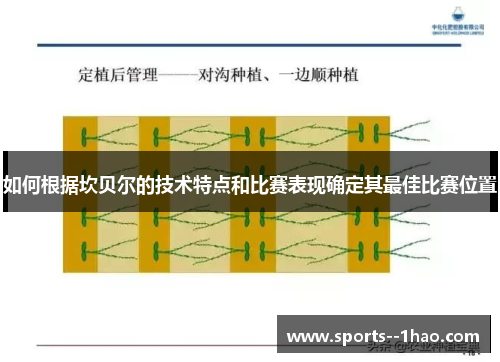 如何根据坎贝尔的技术特点和比赛表现确定其最佳比赛位置