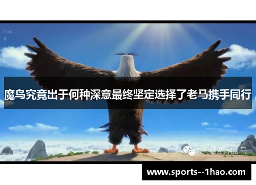 魔鸟究竟出于何种深意最终坚定选择了老马携手同行